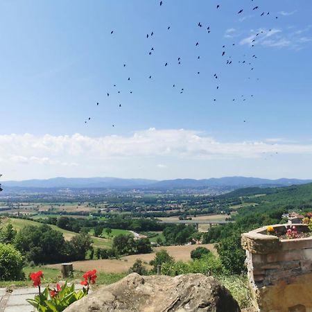Al Podere Del Nonno Romolo Sansepolcro Extérieur photo