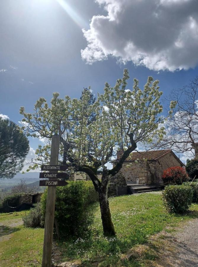 Al Podere Del Nonno Romolo Sansepolcro Extérieur photo
