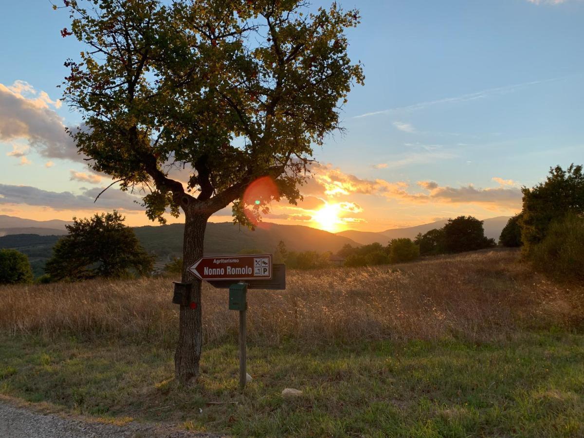 Al Podere Del Nonno Romolo Sansepolcro Extérieur photo