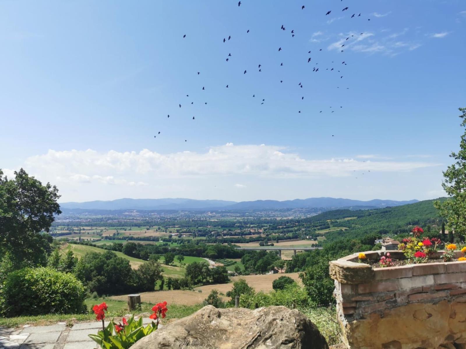 Al Podere Del Nonno Romolo Sansepolcro Extérieur photo